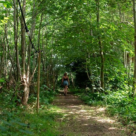 Ecolodges De Dreef Renesse Esterno foto