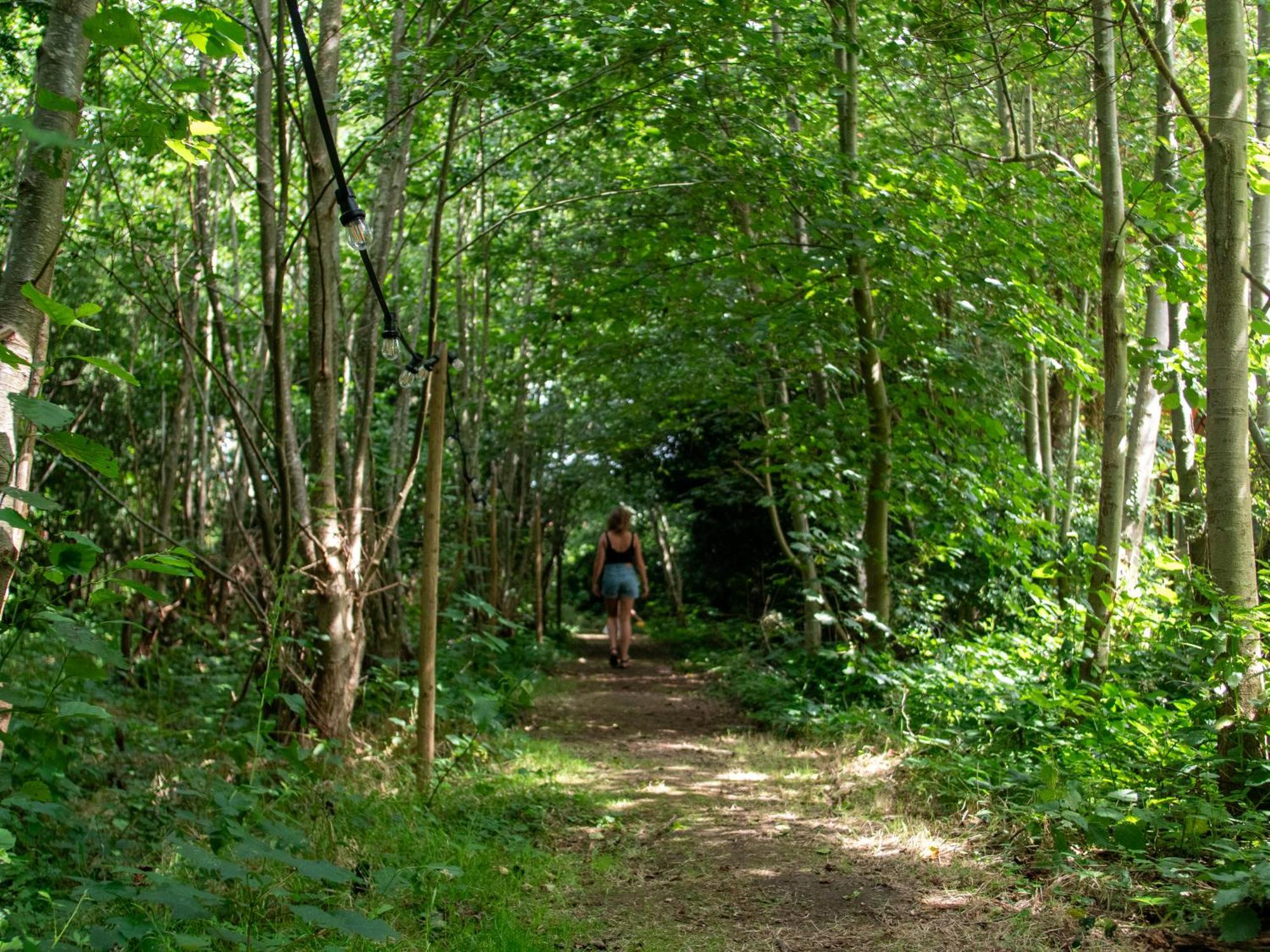 Ecolodges De Dreef Renesse Esterno foto